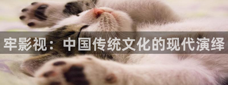 九九影院久久理论影院