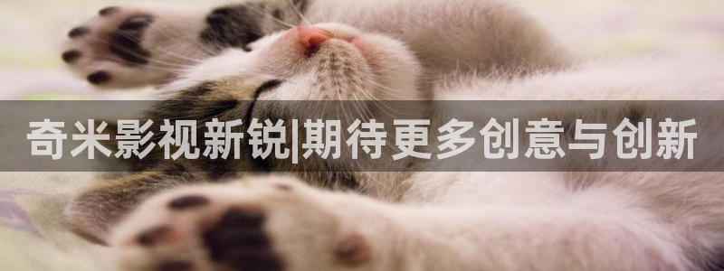 九九影视在线观看免费最新电视剧大全