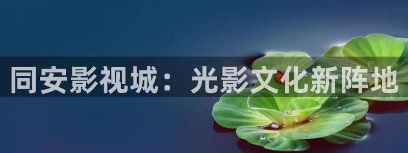 九九 在线