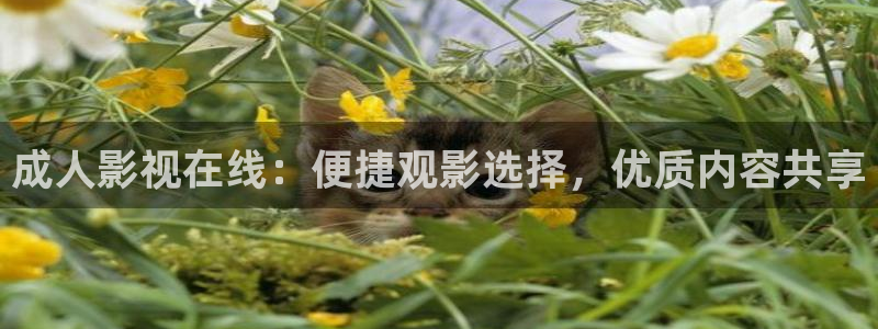 操九九热视频