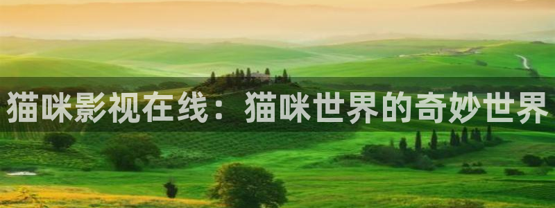 神马九九电影院