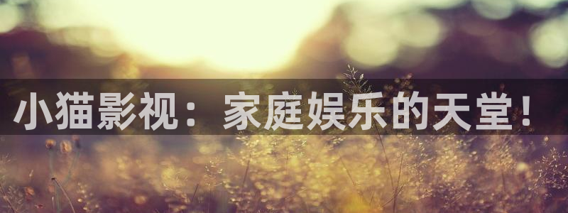 久久九九热免费视频