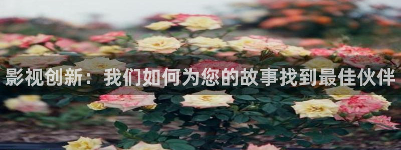 九九影院在线观看免费最新电视剧tv