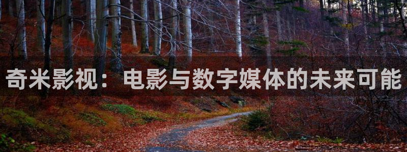 不卡影院九九